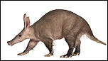 Click image for larger version

Name:	aardvark.jpg
Views:	310
Size:	702.1 KB
ID:	9138