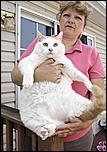 Click image for larger version

Name:	princess_chunky_a_44pound_cat.jpg
Views:	1702
Size:	36.8 KB
ID:	3238