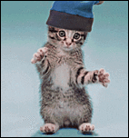 Click image for larger version

Name:	cat-kitten-with-silly-hat-dancing-animated-1-DHD.gif
Views:	626
Size:	104.8 KB
ID:	3958